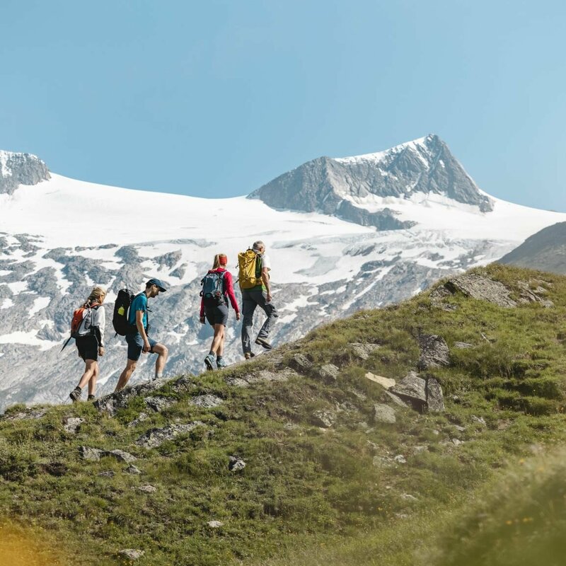 Vier Gäste wandern im Nationalpark Hohe Tauern vor dem Gletschervorfeld.