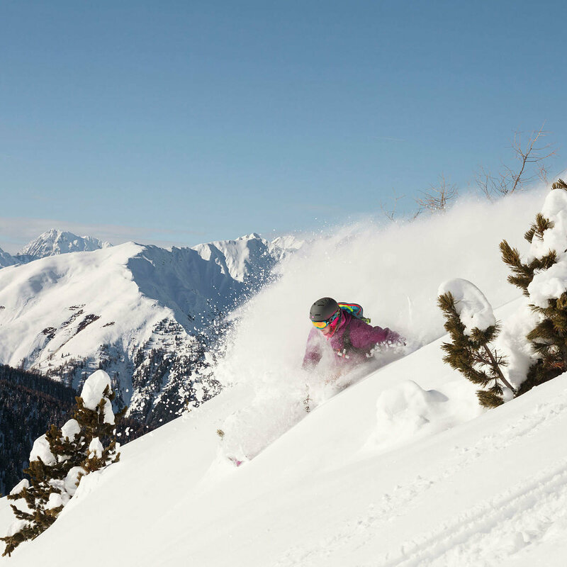 Der Pulverschnee staubt dem Freerider ins Gesicht, der zwischen zwei aus dem Tierschnee ragenden Zirben ins Tal fährt. Im Hintergrund verschneite Berge an einem sonnigen Wintertag.