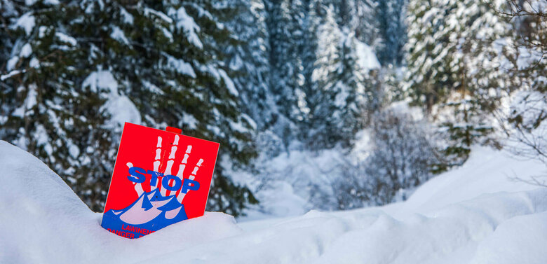 Lawinengefahr Eine rot, weiß, blaue Lawinengefahrtafel in einem frisch verschneitem Wald.