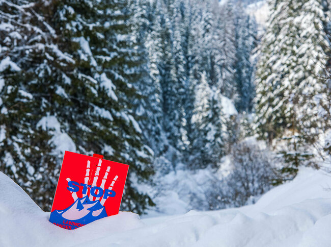 Lawinengefahr Eine rot, weiß, blaue Lawinengefahrtafel in einem frisch verschneitem Wald.