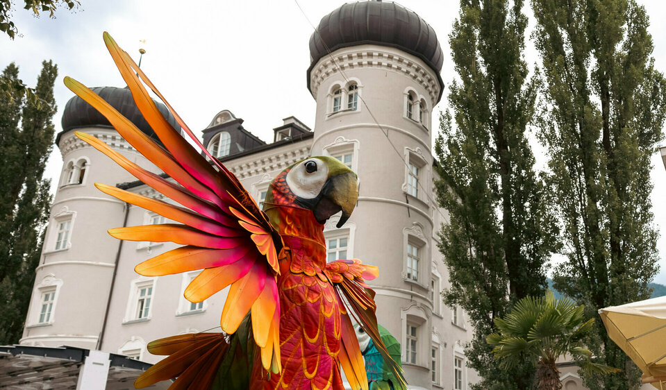 Ein riesiger, organgefarbener Papagei des Theatro Pavana stolziert bei Olala am Lienzer Hauptplatz umher.
