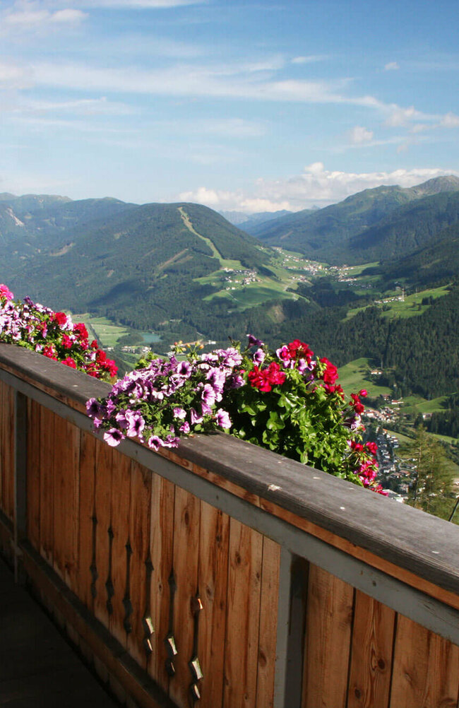 Ausblick Balkon Ausblick vom Balkon mit bunten Blumen auf ein Tal mit Bergkulisse.