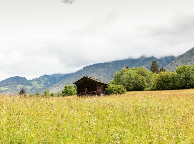 Scheune im Virgental