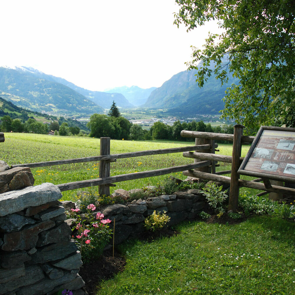 Blick von Thurn auf das Kaerntner Tor. Im Vordergrund ist ein Holzzaun mit einer braunen Infotafel.