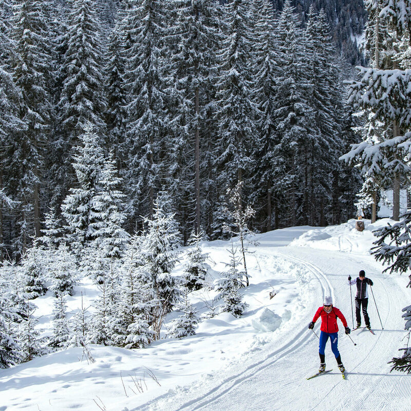 Zwei Langläufer:innen beim Langlaufen auf der Granzlandloipe