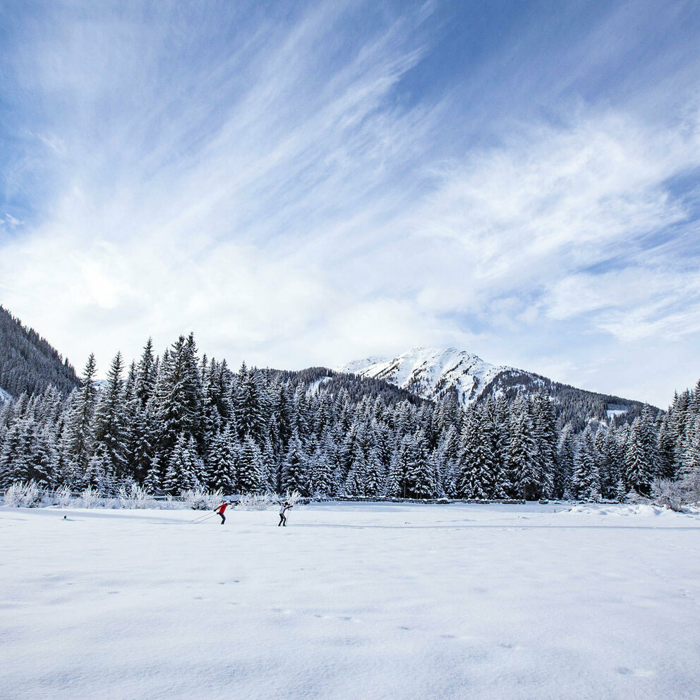 Langlaufgenuss auf der Grenzlandloipe Zwei Langläufer:innen auf der Grenzlandloipe mit einem frisch verschneiten Wald im Hintergrund