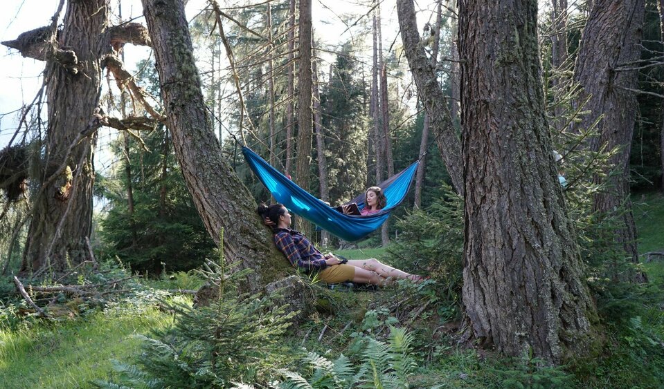 Zedlacher Paradies - Imponenti alberi giganti come nel Sequoia National Park (USA)