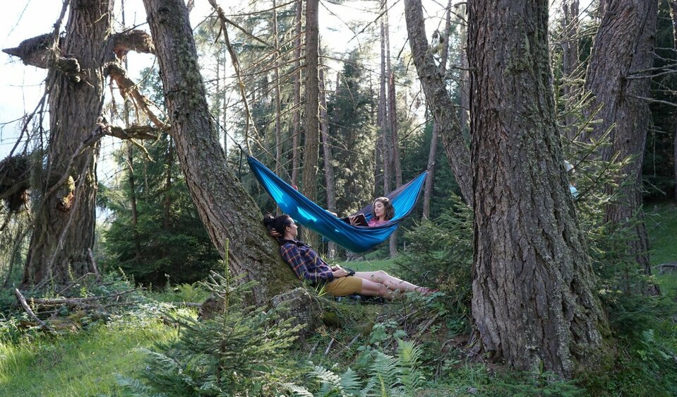 Zedlacher Paradies - knorrige Baumriesen wie im Sequoia National Park