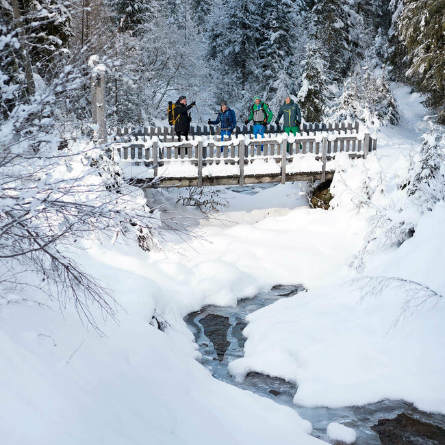 Ein Ranger zeigt drei Personen den Winterzauber im Defreggental. Sie stehen auf einer verschneiten Brücke über einem kleinen Bach.