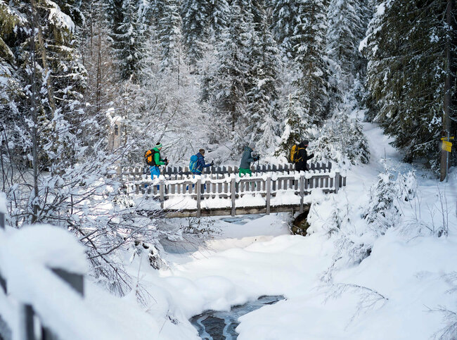 4 Personen auf Schneeschuhwanderung gehen über eine verschneite Brücke über einen Bach, inmitten von schneebedeckten Nadelbäumen.