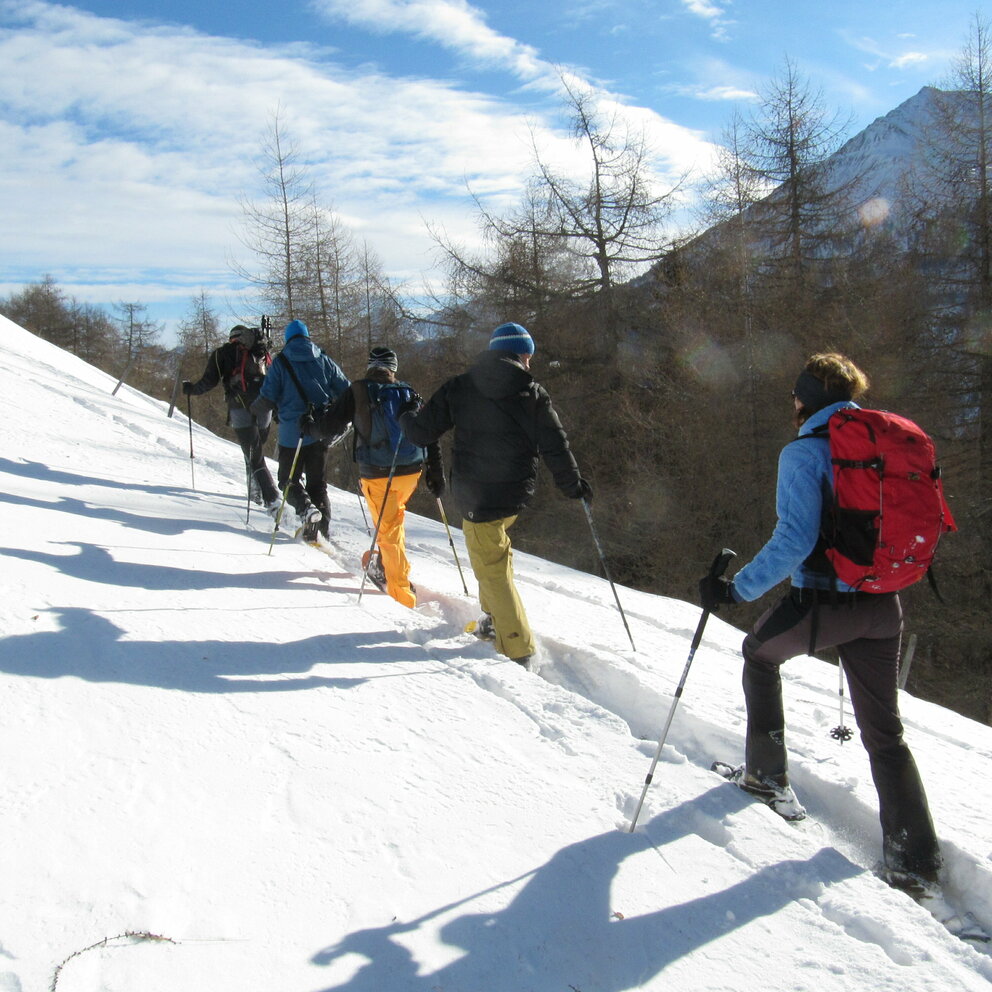Fünf Personen sind mit Schneeschuhen unterwegs, auf einer schmalen Spur hintereinander, bei Kaiserwetter.