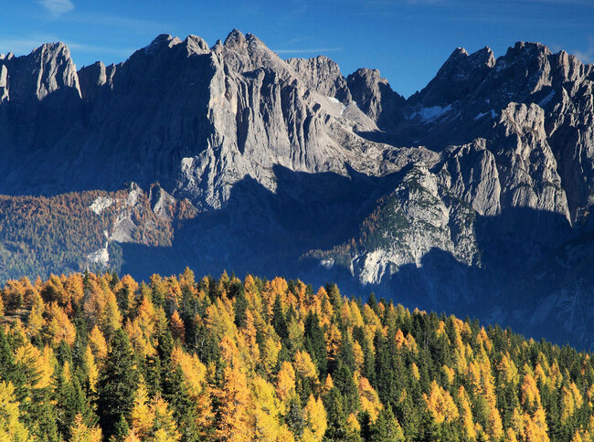 Verfärbter Wald in gelb, orange und grün, dahinter erheben sich die Berge in die klare Herbstluft.