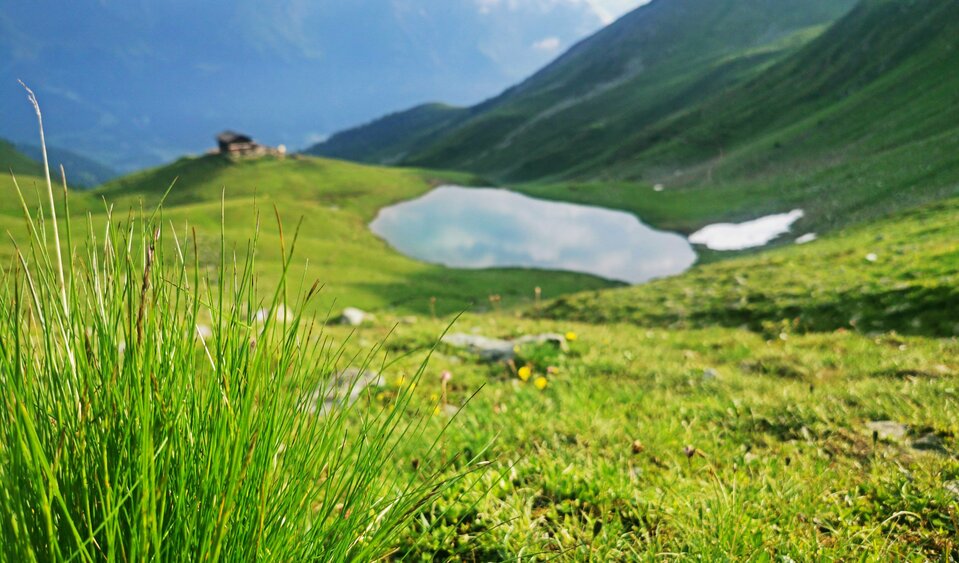 Zupalsee ...the damp dew during hikes