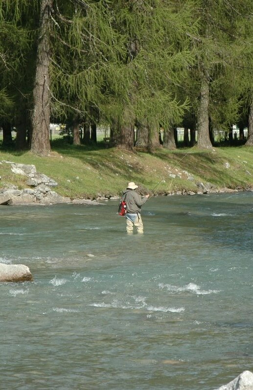 Der Talfluss im Defereggental die Schwarzach Der Talfluss im Defereggental die Schwarzach