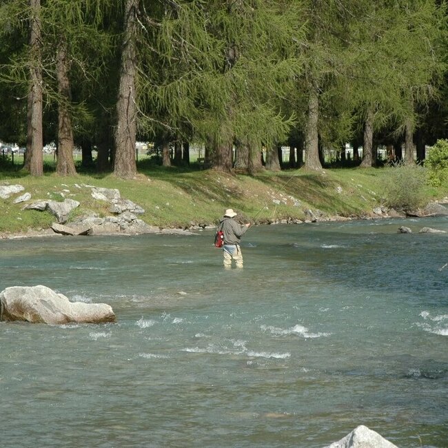 Der Talfluss im Defereggental die Schwarzach Der Talfluss im Defereggental die Schwarzach