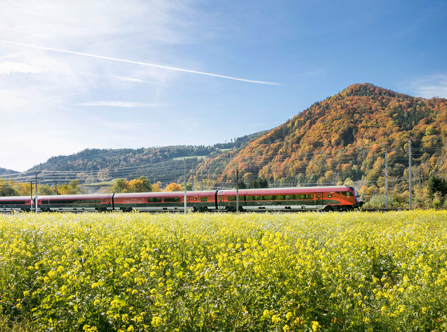 ÖBB Railjet mit blühender Wiese im Vordergrund und Bergen im Hintergrund.