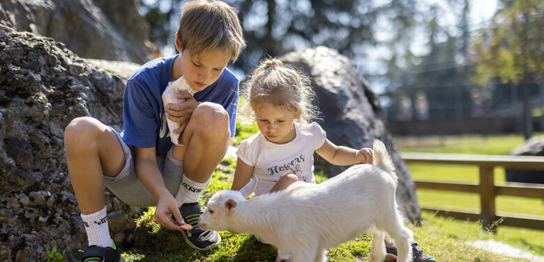 Streicheleinheiten für die kleinen Vierbeiner Ein Junge und ein Mädchen füttern eine weiße Ziege im Streichelzoo Moosalm.