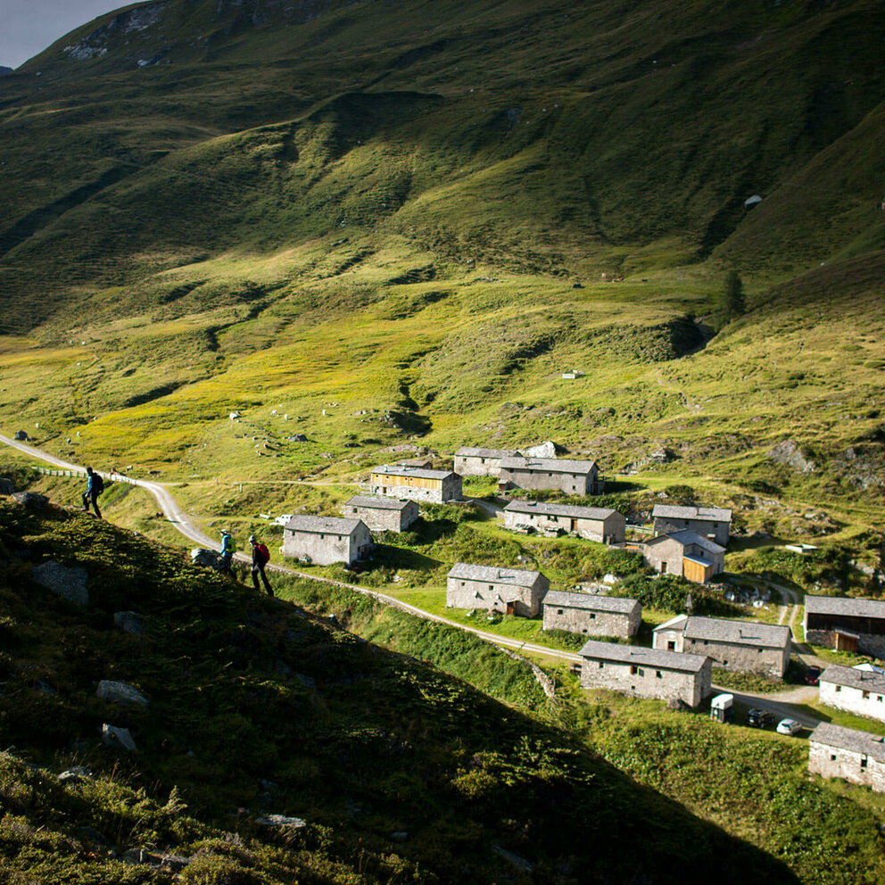 Mehrere alte Gebäude der Jagdhausalmen stehen sanft eingebettet in Osttiroler Landschaft.