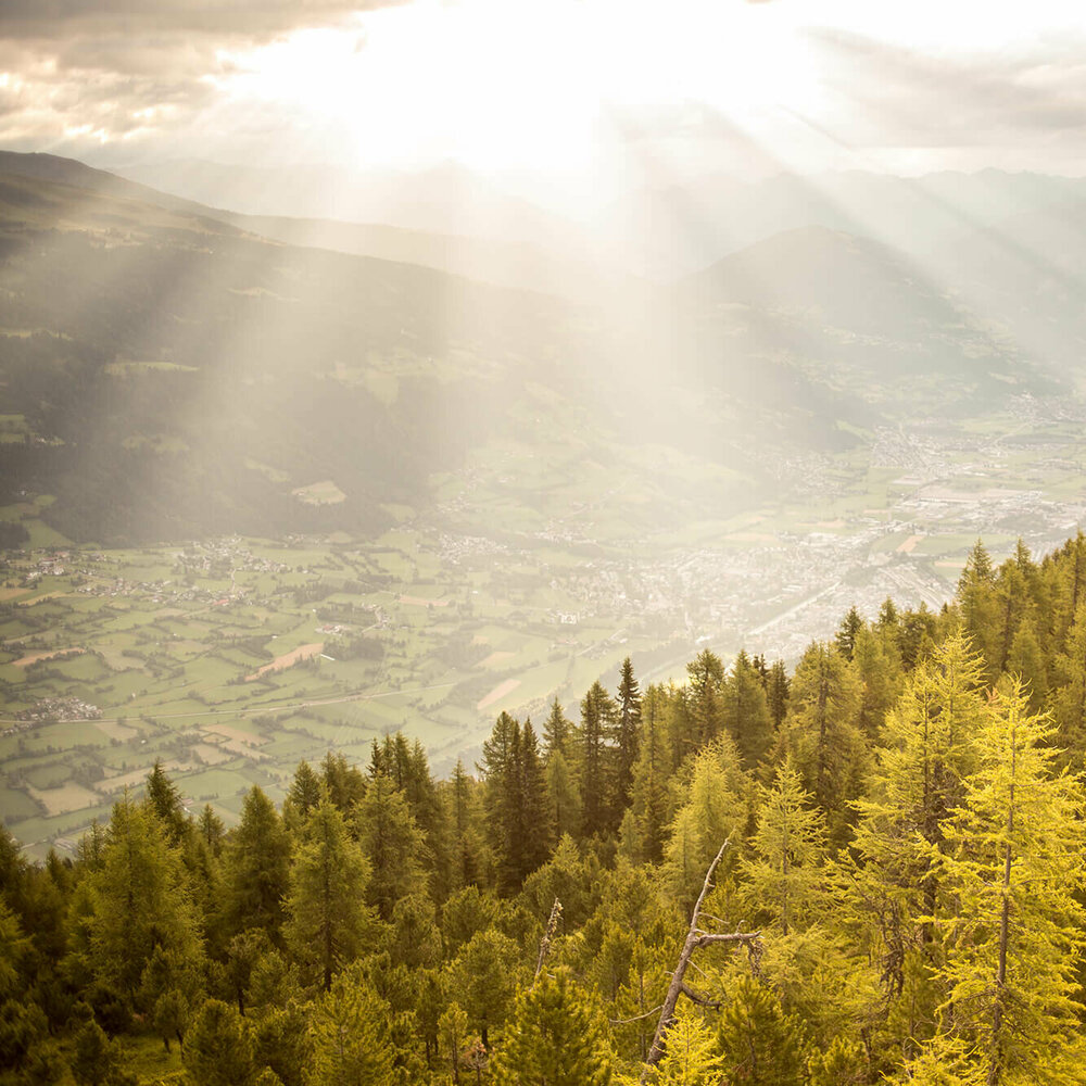 Mountainbiken Hochstein