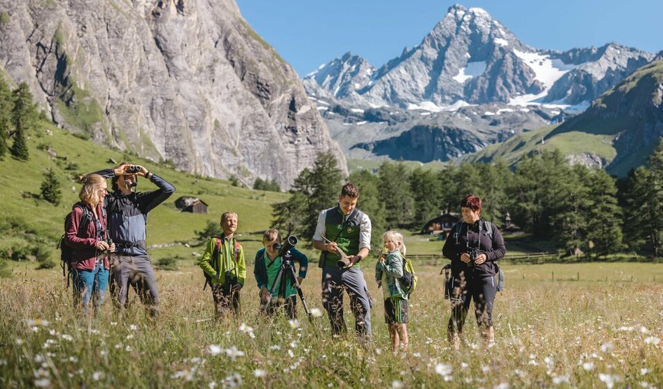 Frühlingsspuren entdecken