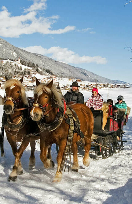 Winterlichte Pferdeschlittenfahrt in Strassen