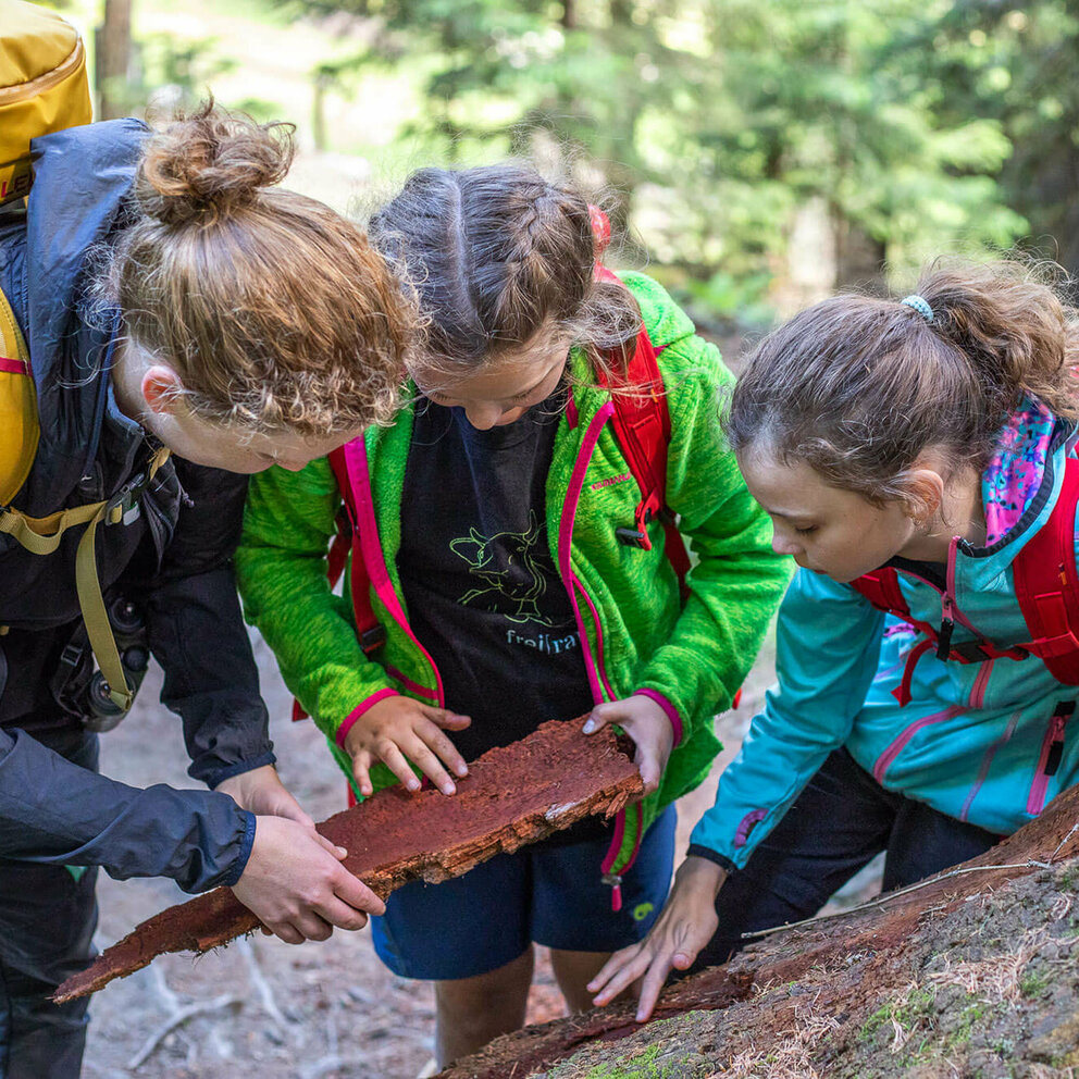 Zedlacherparadies Eine Frau und zwei Mädchen betrachten ein Stück Rinde im Zedlacherparadies.