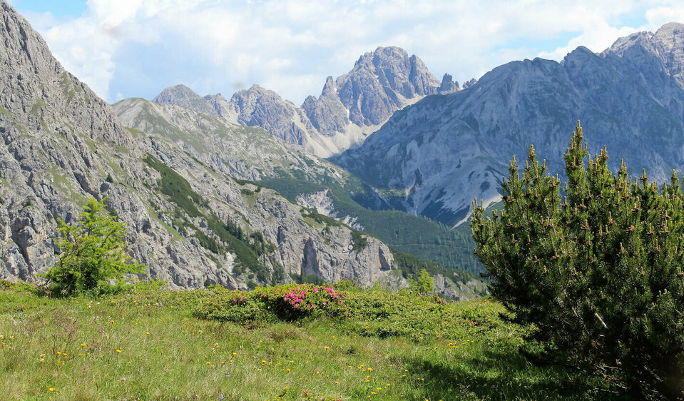 Gailtaler Höhenweg bei der Kircher Alm The Gailtaler Höhenweg trail at the Kircher Alm