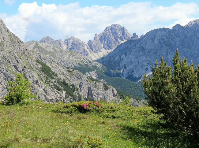 Gailtaler Höhenweg bei der Kircher Alm Der Gailtaler Höhenweg auf der Kircher Alm bietet einen wunderbaren Blick in die Lienzer Dolomiten im Norden.