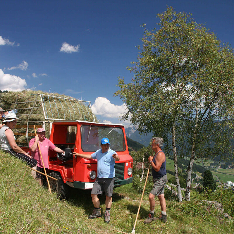 Fünf Personen vor einem Fahrzeug mit Heu bei der Heuernte am Sillianberg.
