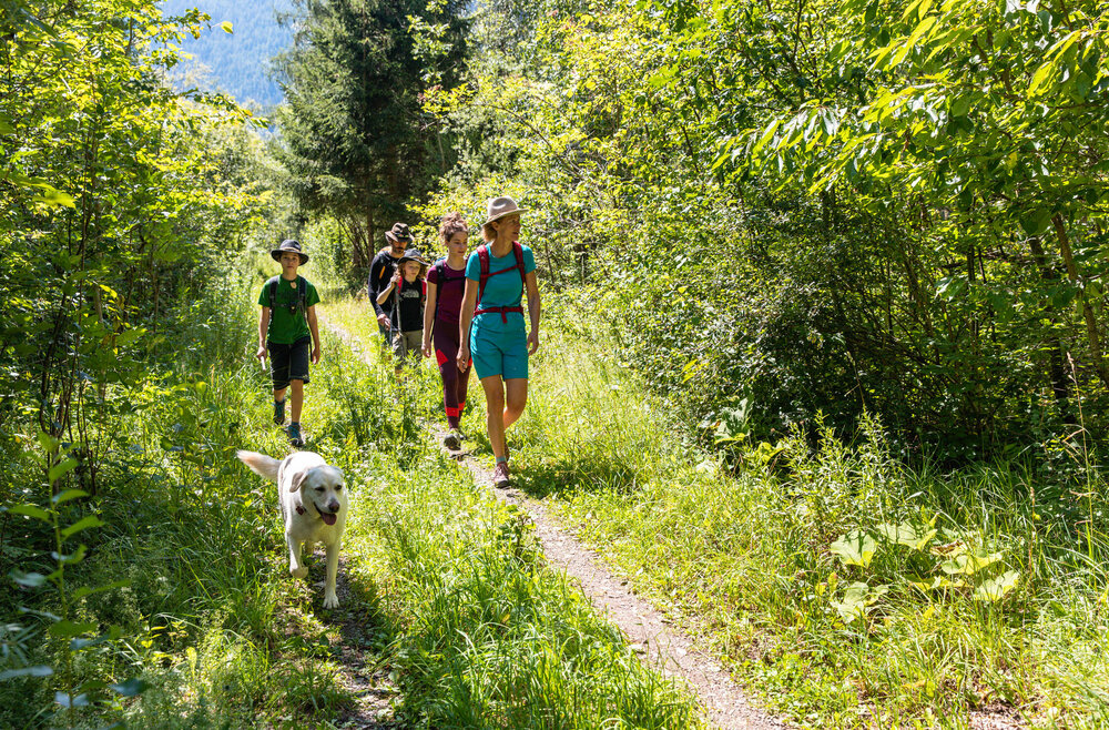 Familie wandert mit ihrem Hund auf einem flachen von Gras und Sträuchern umgebenen Steig.