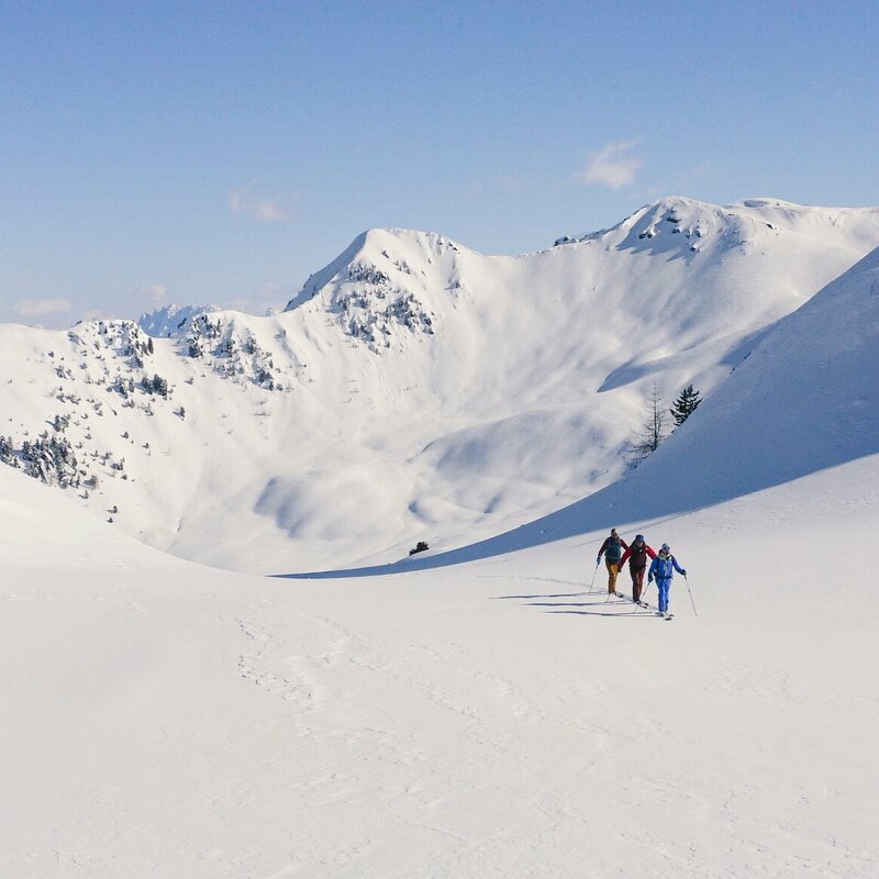 Skitour Anstieg in Villgraten Drei Skitourengeher:innen beim Anstieg in Villgraten