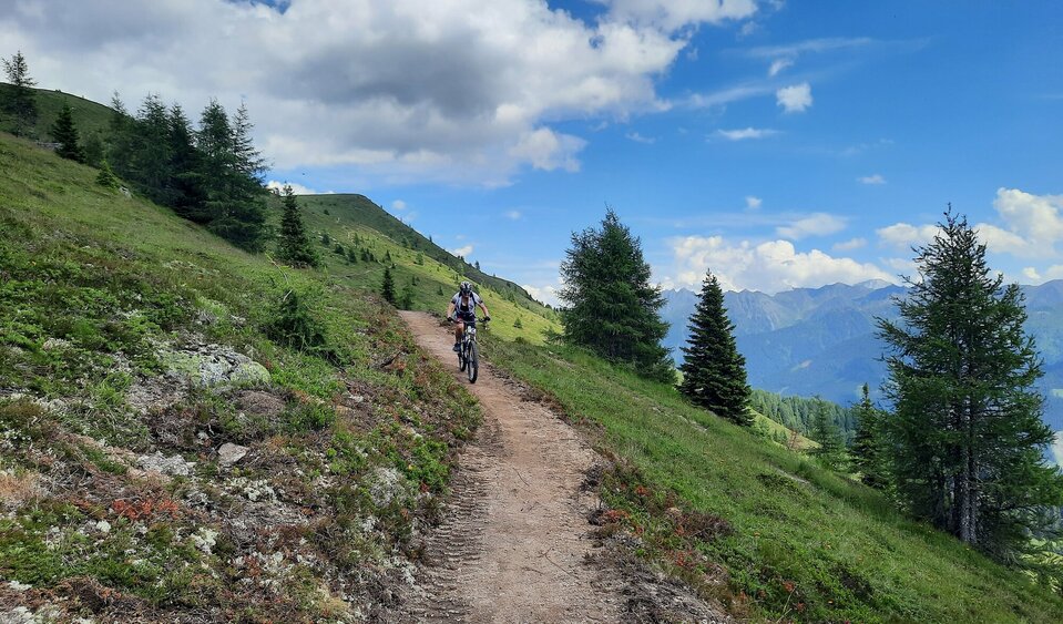 Sentiero dei prati di montagna in un paesaggio panoramico Sentiero dei prati di montagna in un paesaggio panoramico