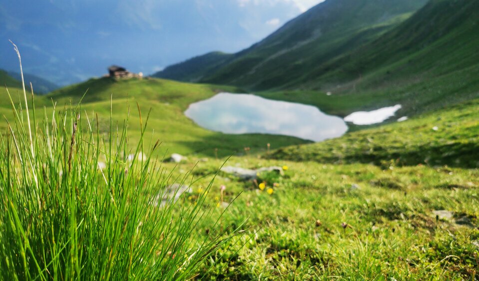 grüne Wiesen hinter der Zupalseehütte Il Gruppo Lasörling