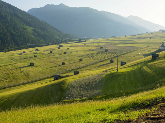 Höfe Trail, Felder und Schupfen in Obertilliach Höfe Trail, Felder und Schupfen in Obertilliach