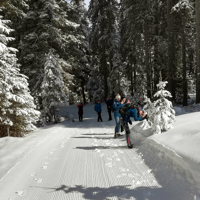 winterwandern-kartitsch Personen beim Fotografieren des verschneiten Waldes während des Winterwanderns