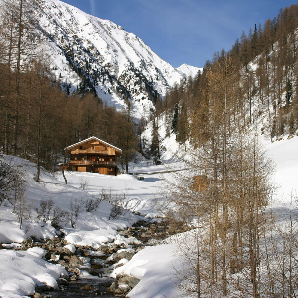 Almhuette im Winkeltal Ausservillgraten Eine urige, hölzerne Almhütte liegt in der verschneiten Landschaft des Winkeltals in Außervillgraten. Im Hintergrund heben sich die bewaldeten und schneebedeckten Bergwände empor.