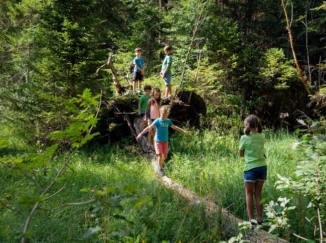 Zwei Jungs warten bis die drei Kinder vor ihnen über den Baumstamm im Schattwald balancieren, an dessen Ende ihre Freundin wartet.
