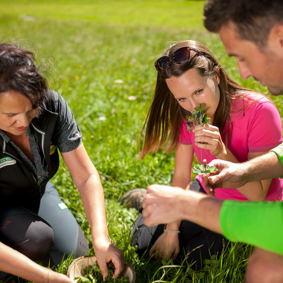 Geheime Welt der Kräuter Drei Erwachsene beim Pflücken und Riechen von Kräutern auf einer Wiese.