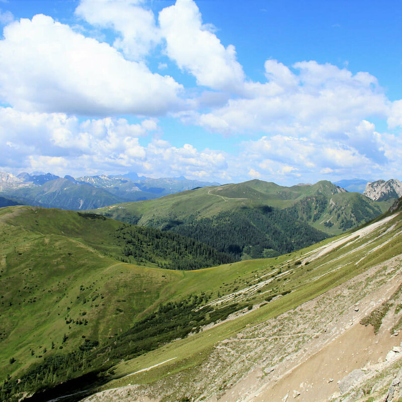 Gailtaler Höhenweg am Hals mit Blick zum Steinrastl und Golzentipp Steile, nach Süden geneigte, sonnige Schotterrinnen im Vordergrund. Im Hintergrund die sanft anmutenden, mit Grasmatten bedeckten Berge der Gailtailer Alpen an einem sonnigen Sommertag. Ein paar kleine Quellwolken zieren den Himmel.