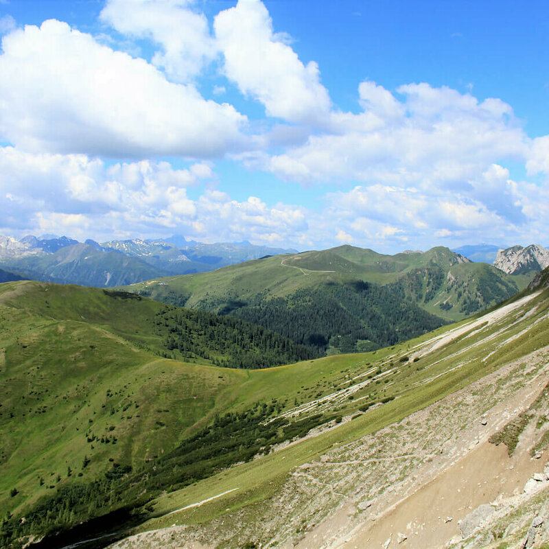 Gailtaler Höhenweg am Hals mit Blick zum Steinrastl und Golzentipp Steile, nach Süden geneigte, sonnige Schotterrinnen im Vordergrund. Im Hintergrund die sanft anmutenden, mit Grasmatten bedeckten Berge der Gailtailer Alpen an einem sonnigen Sommertag. Ein paar kleine Quellwolken zieren den Himmel.