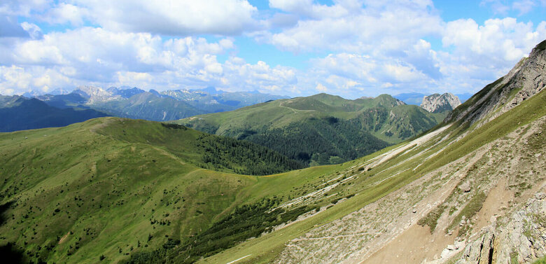 Gailtaler Höhenweg am Hals mit Blick zum Steinrastl und Golzentipp Steile, nach Süden geneigte, sonnige Schotterrinnen im Vordergrund. Im Hintergrund die sanft anmutenden, mit Grasmatten bedeckten Berge der Gailtailer Alpen an einem sonnigen Sommertag. Ein paar kleine Quellwolken zieren den Himmel.