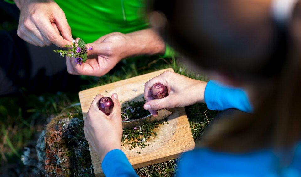 Kräutergarten der Natur