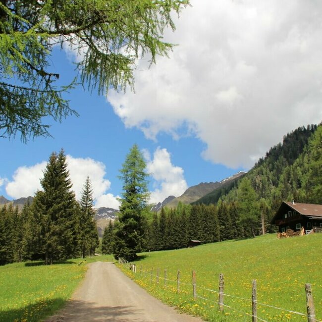 Kristeiner Tal Feldweg ins Kristeinertal inmitten einer grünen Wiese und Wäldern in der Umgebung