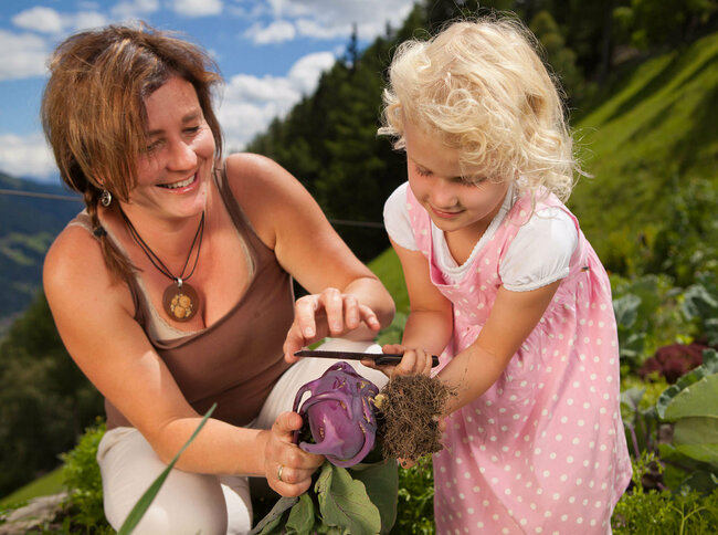 Urlaub am Bauernhof Eine Frau und ein Mädchen ernten frisches Gemüse auf einem Feld. Das Mädchen hat ein Messer und das Gemüse in der Hand.
