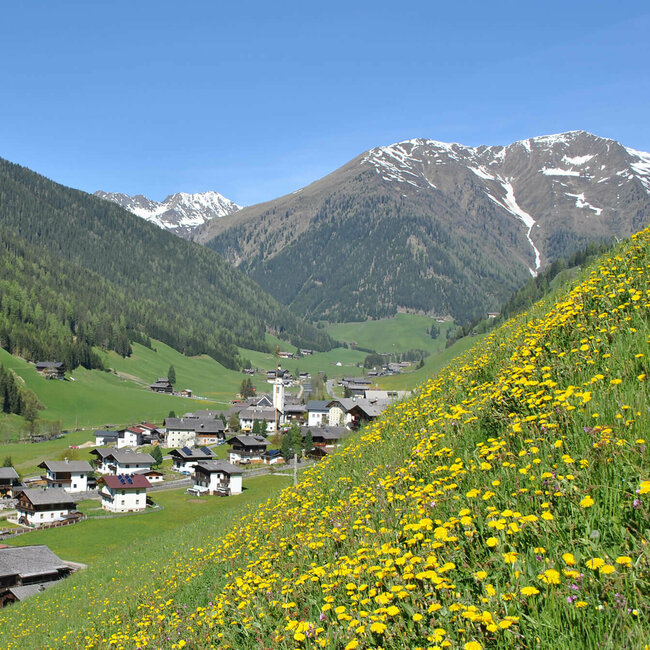 Blick auf das idyllische Bergdorf Innervillgraten in Osttirol im Sommer, umgeben von grünen Wiesen, blühenden Almwiesen und bewaldeten Berghängen, mit schneebedeckten Gipfeln im Hintergrund.