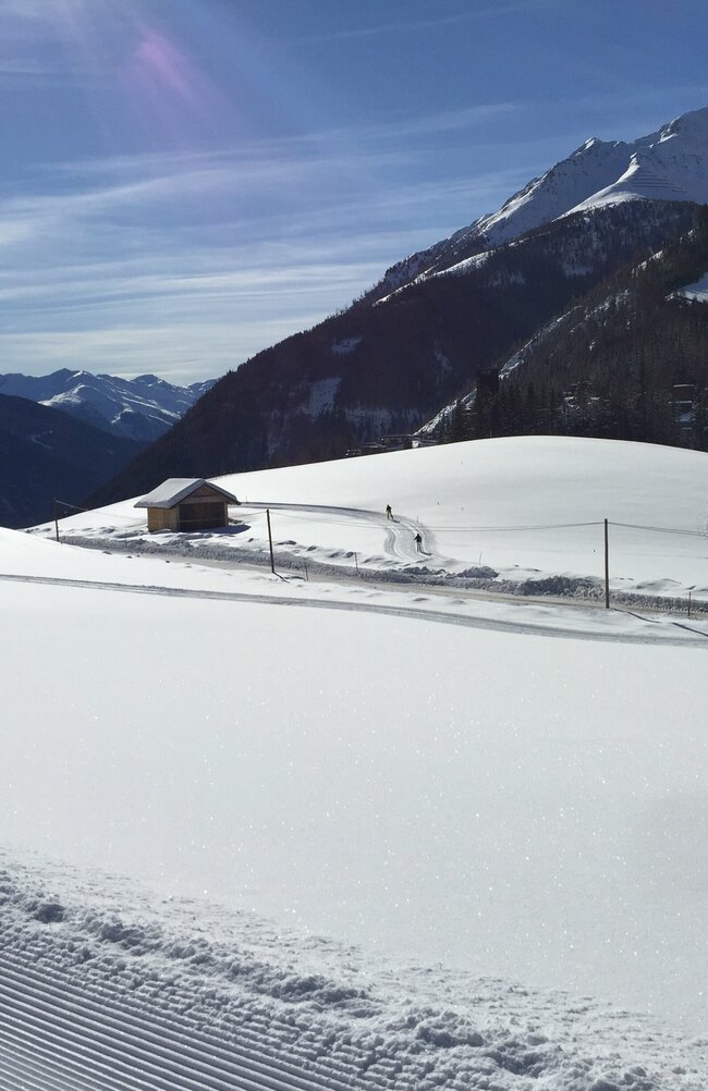 Zwei Langläufer auf der Loipe unterwegs