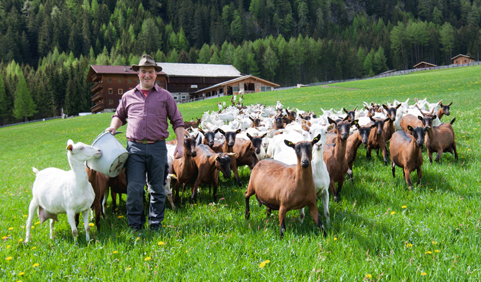 Produzenten aus der Region