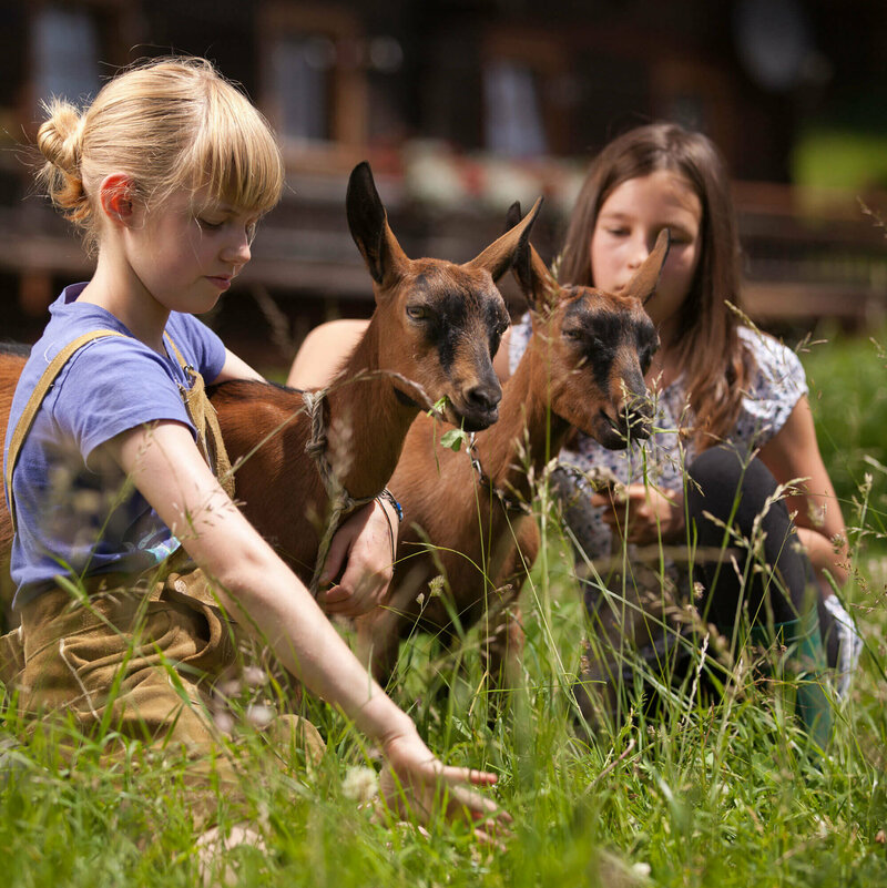 Urlaub am Bauernhof Zwei Mädchen und zwei Ziegen im hohen Gras auf einem Bauernhof.