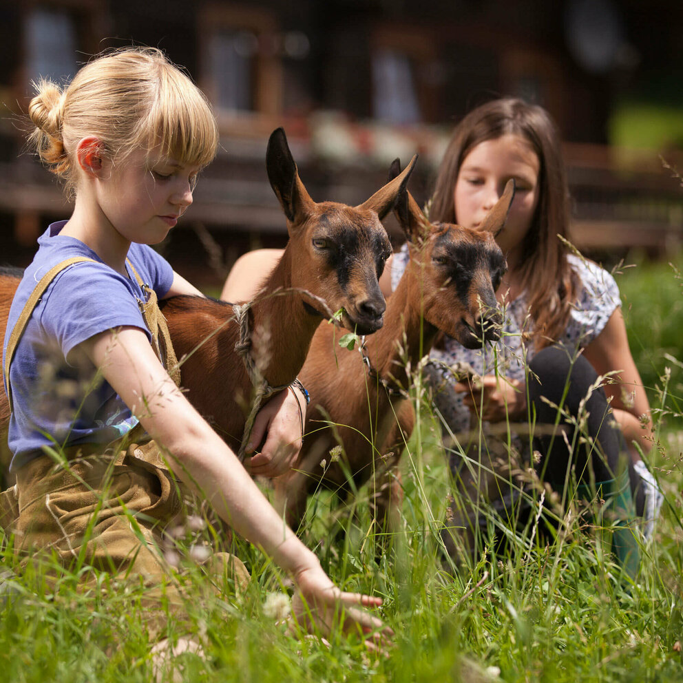 Urlaub am Bauernhof Zwei Mädchen und zwei Ziegen im hohen Gras auf einem Bauernhof.