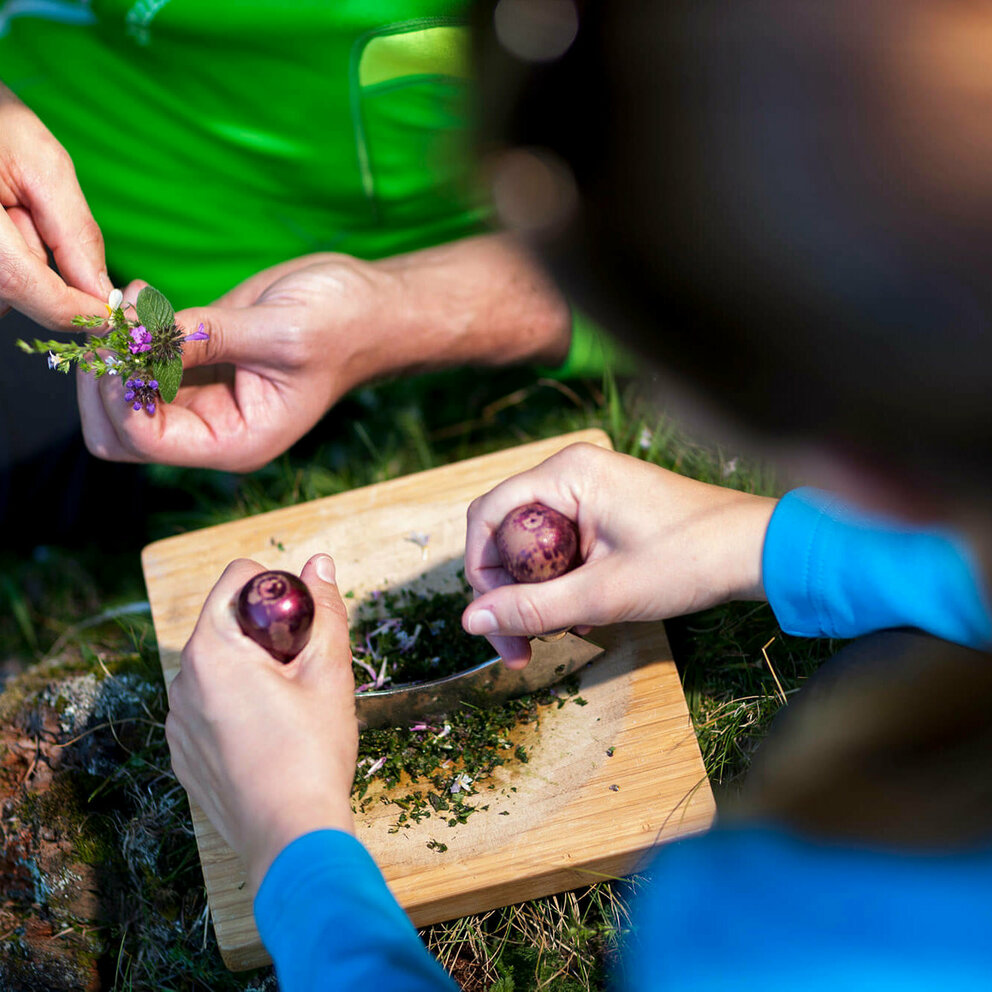 Geheime Welt der Kräuter Kräuter werden auf einem Schneidebrett aus Holz mit einem Wiegemesser fein gehackt.